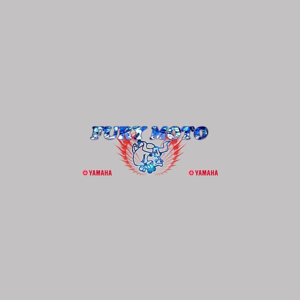 Logo Fury moto