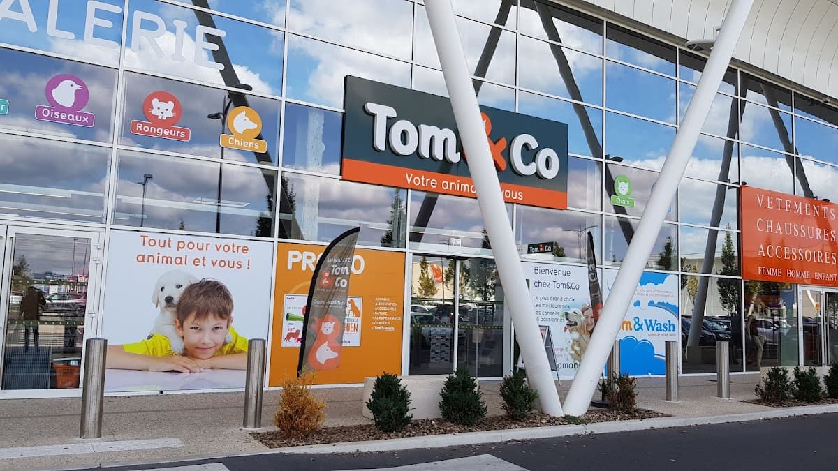 Tom & Co