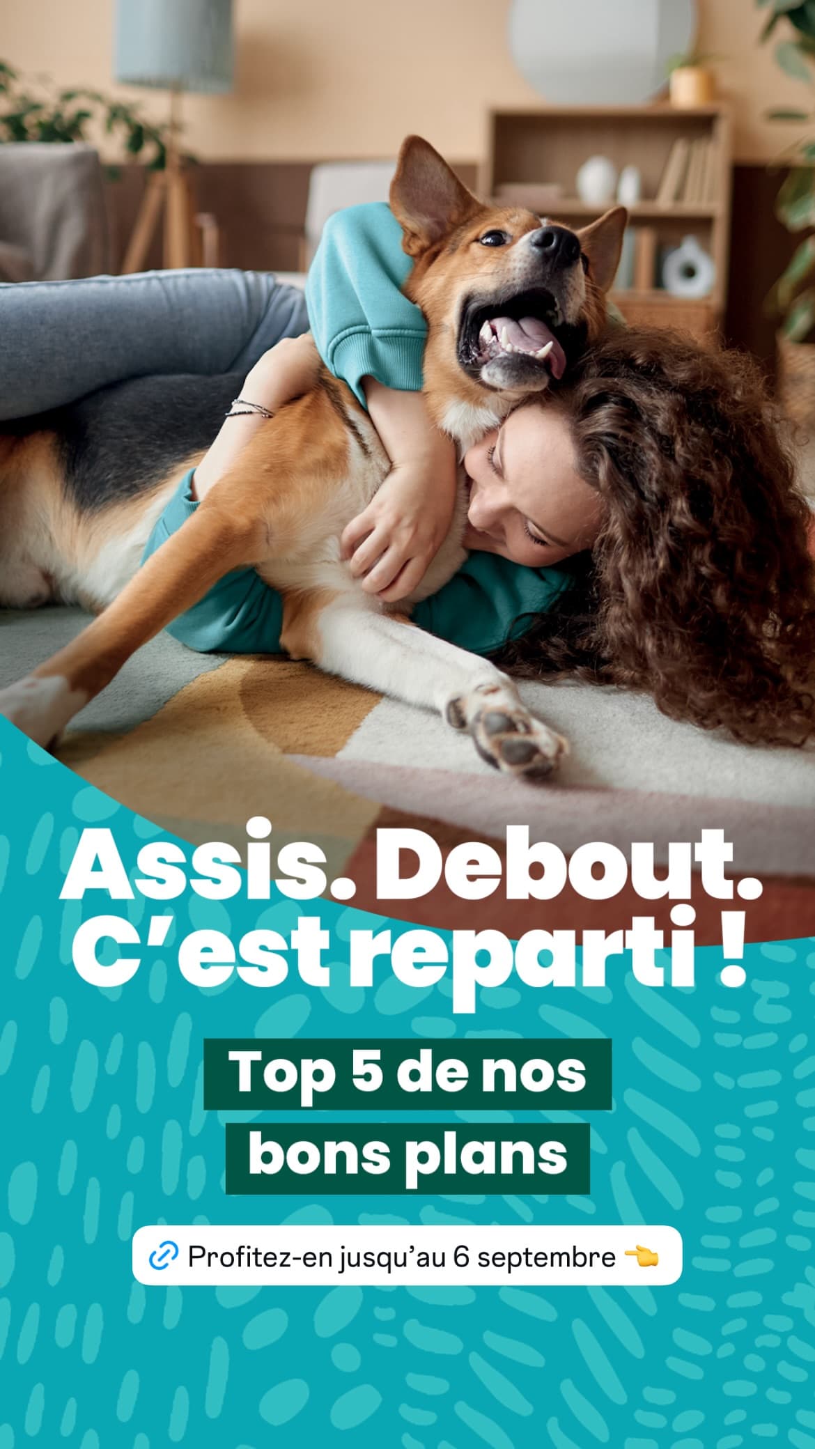 Top 5 bons plans