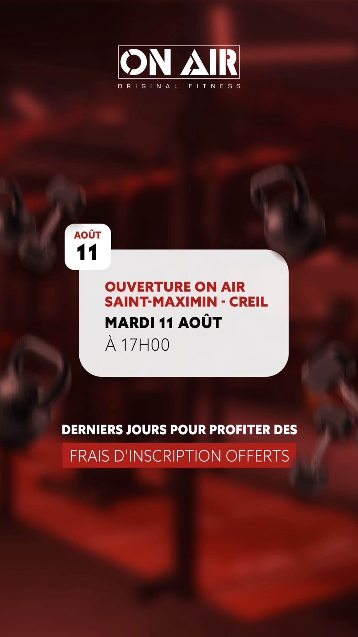 Ouverture le 11 août