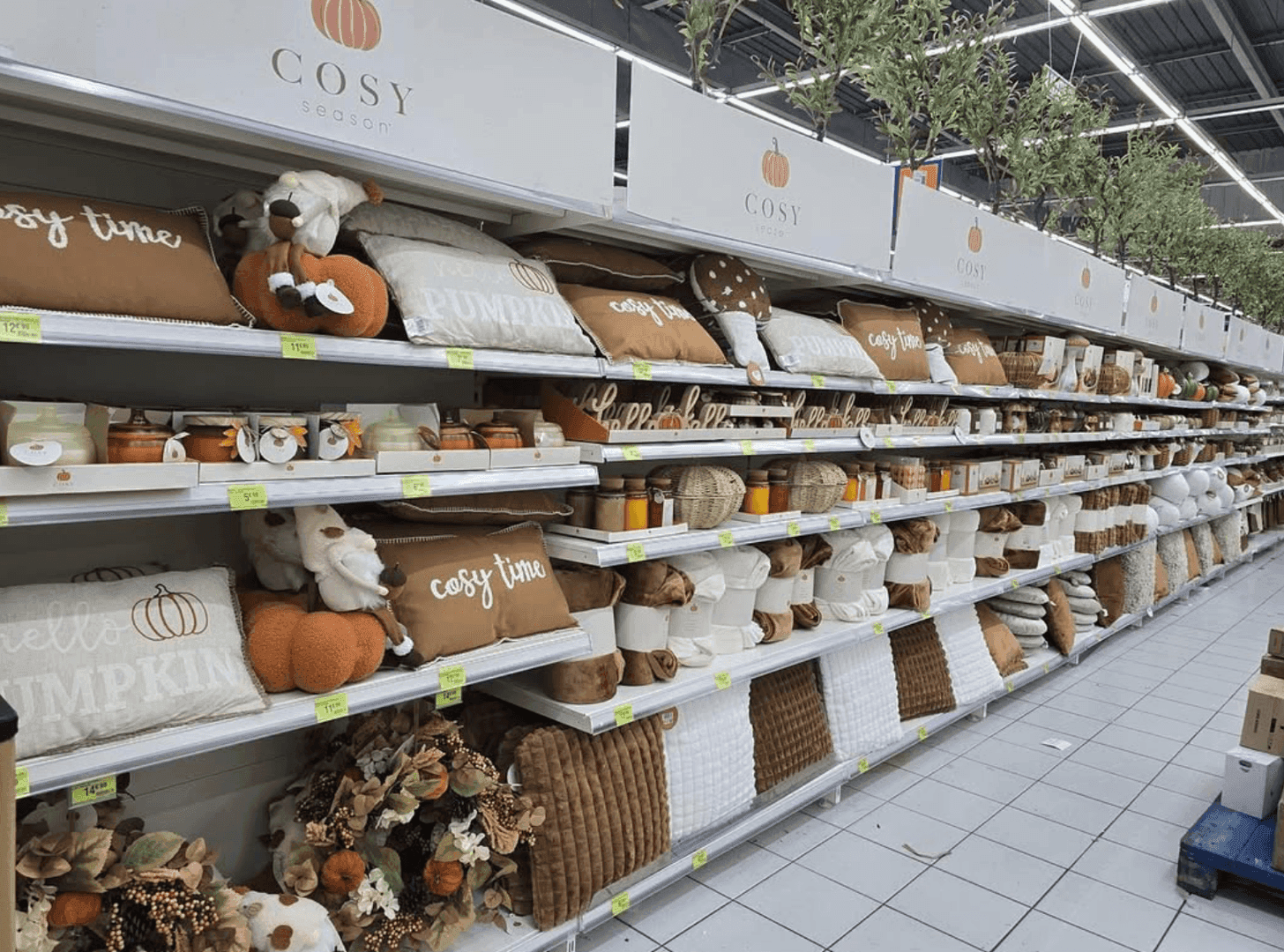 B&M — photo intérieure 1