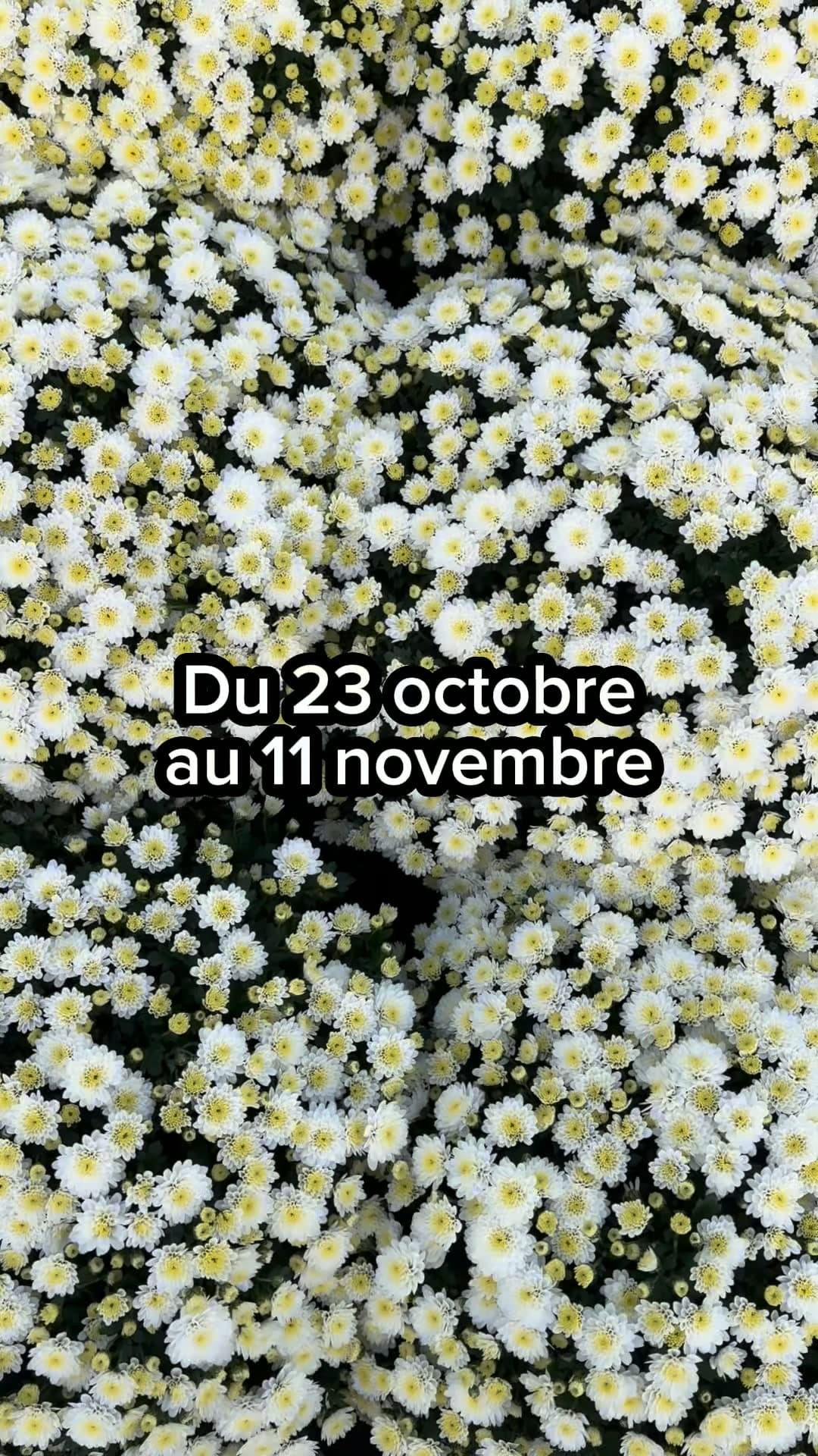 Dépliant automne promotionnel